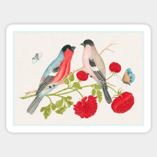 Birds with Roses and Butterflies (18th Century) Sticker